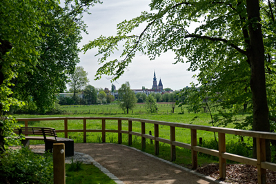 punkt 6. na trasie C. D. Friedricha  - widok na łąki w pobliżu Greifswaldu 